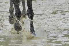 2018_0510 Schietwetter