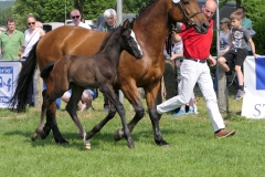 2018_0513 ZFS 4 HF Cornet Obolensky x Quick Star