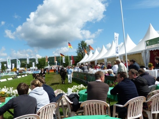 2012_fohlenchampionatkulisse.jpg