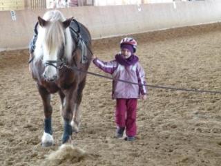 2013_0317-geswo-5.jpg