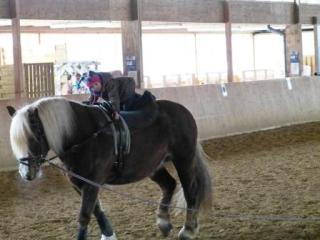 2013_0317-geswo-6.jpg