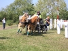 img_7016_resize.jpg