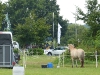 2016_0807-fahrerlager-2.jpg