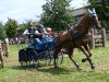 2016_0807-rudolf-siffling-dartangan-fahrsportfreunde-ostenfelde-vos-marchenwald.jpg