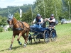 2016_0807-rudolf-siffling-dartangan-fahrsportfreunde-ostenfelde.jpg