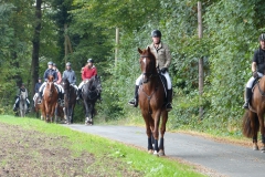 2016_1001 FJ vor Hirsch