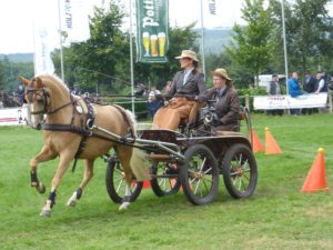 2016_0806 Steffi Lauxtermann Golden Tinkerbell Hindernis