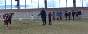 2017_1210 Sarina Voltis