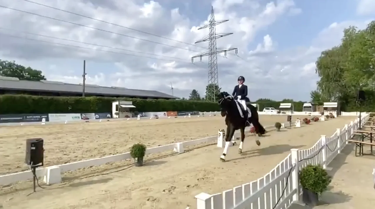 2025-06-03_Wittmann-Johanna