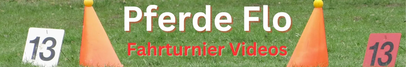 Pferdeflo