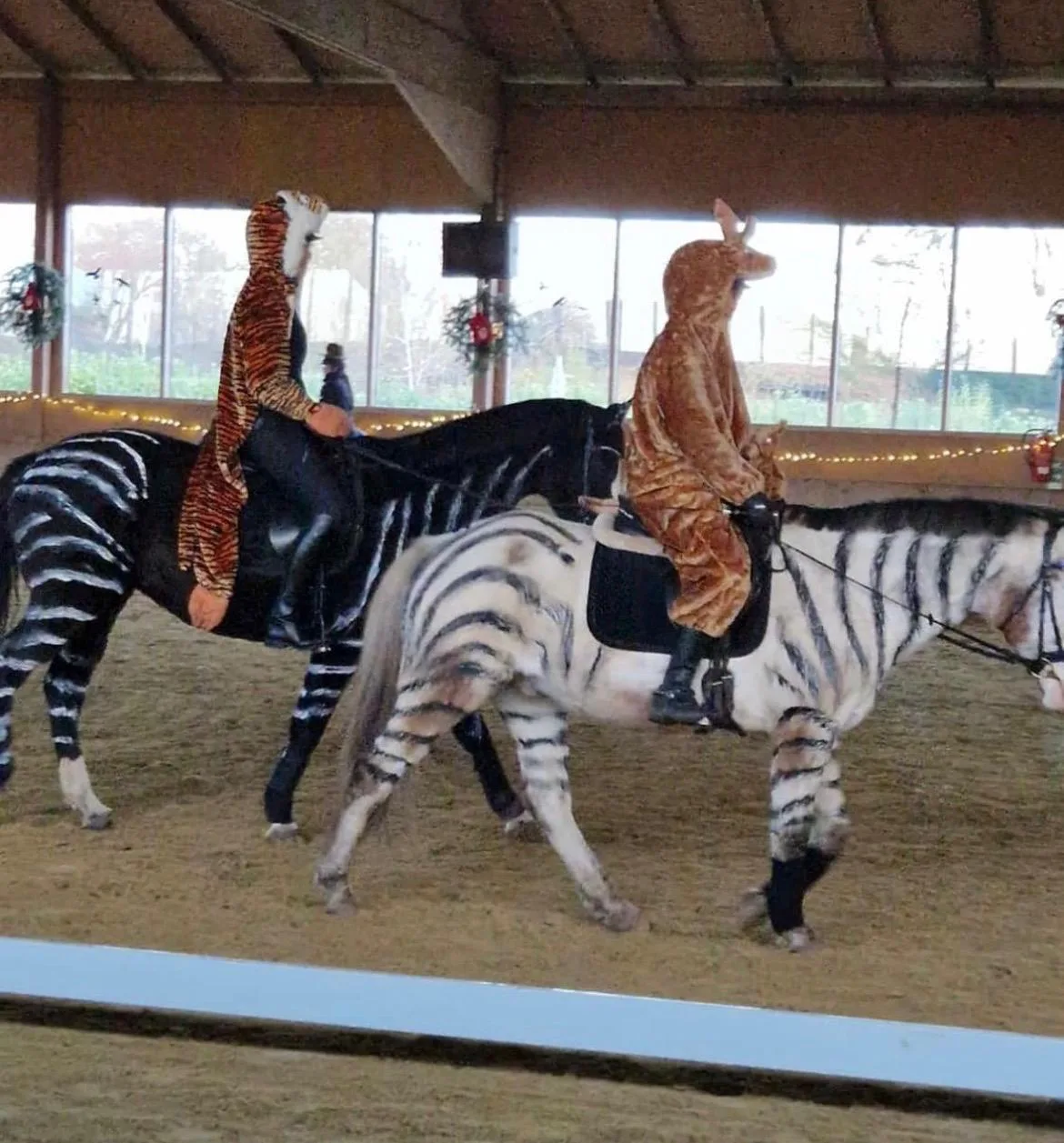 WhatsApp Image 2025-11-26 at 18.42.55-3