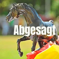 Deutsches Fohlenchampionat abgesagt